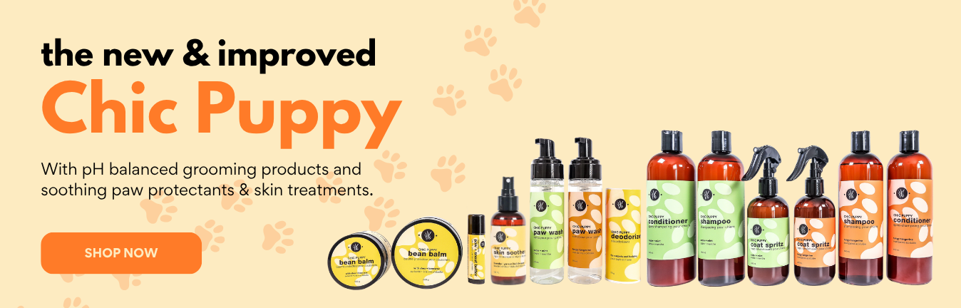 shop the new + improved Chic Puppy